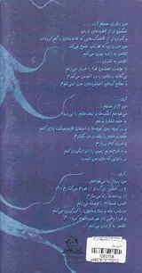 در بن بست یک خواب